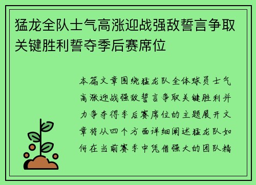 猛龙全队士气高涨迎战强敌誓言争取关键胜利誓夺季后赛席位