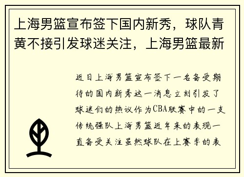 上海男篮宣布签下国内新秀，球队青黄不接引发球迷关注，上海男篮最新阵容
